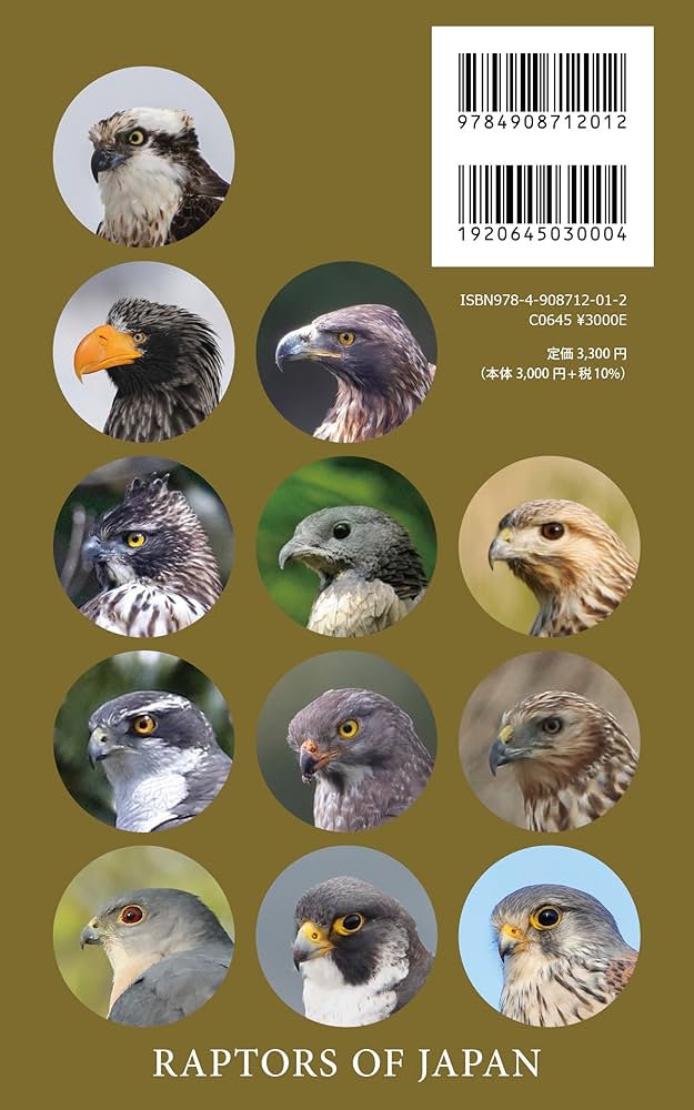識別ガイド 日本の猛禽類 タカ・ハヤブサ類 | 榛葉 忠雄, 小澤 重雄