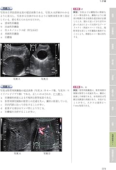 71AQ36ELKvS._AC_UF350,