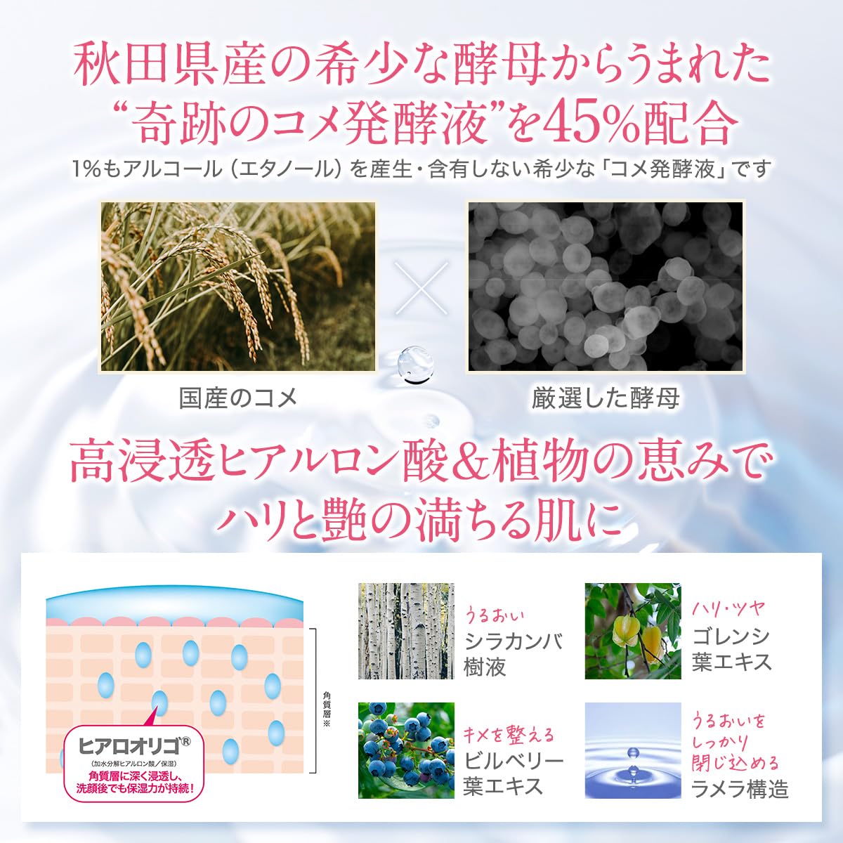 Amazon | 【公式】君島十和子 FTC フローラ ステップアップ モイスト