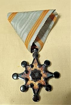 Amazon.co.jp: 願望成就 勲章 日本軍 戦争 叙勲 4点セット : スポーツ