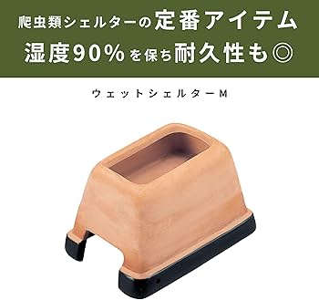 Amazon | スドー レオパ 飼育 セット キット 爬虫類 ヤモリ ガラス