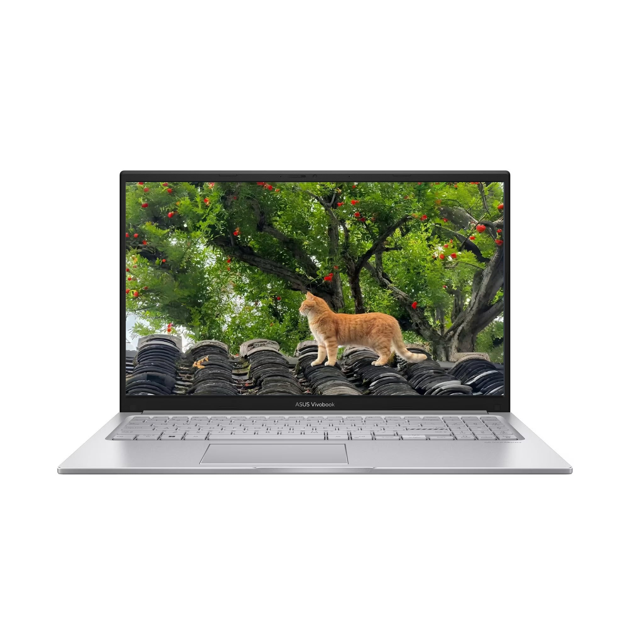 Amazon.com: ASUS Vivobook 15 Laptop, 15.6