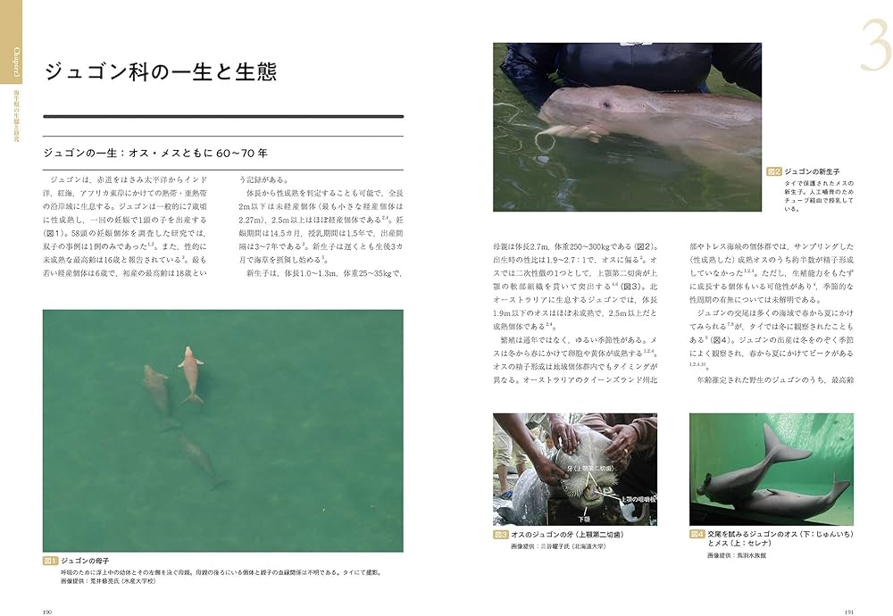 海棲哺乳類大全: 彼らの体と生き方に迫る | 田島 木綿子, 山田 格 |本