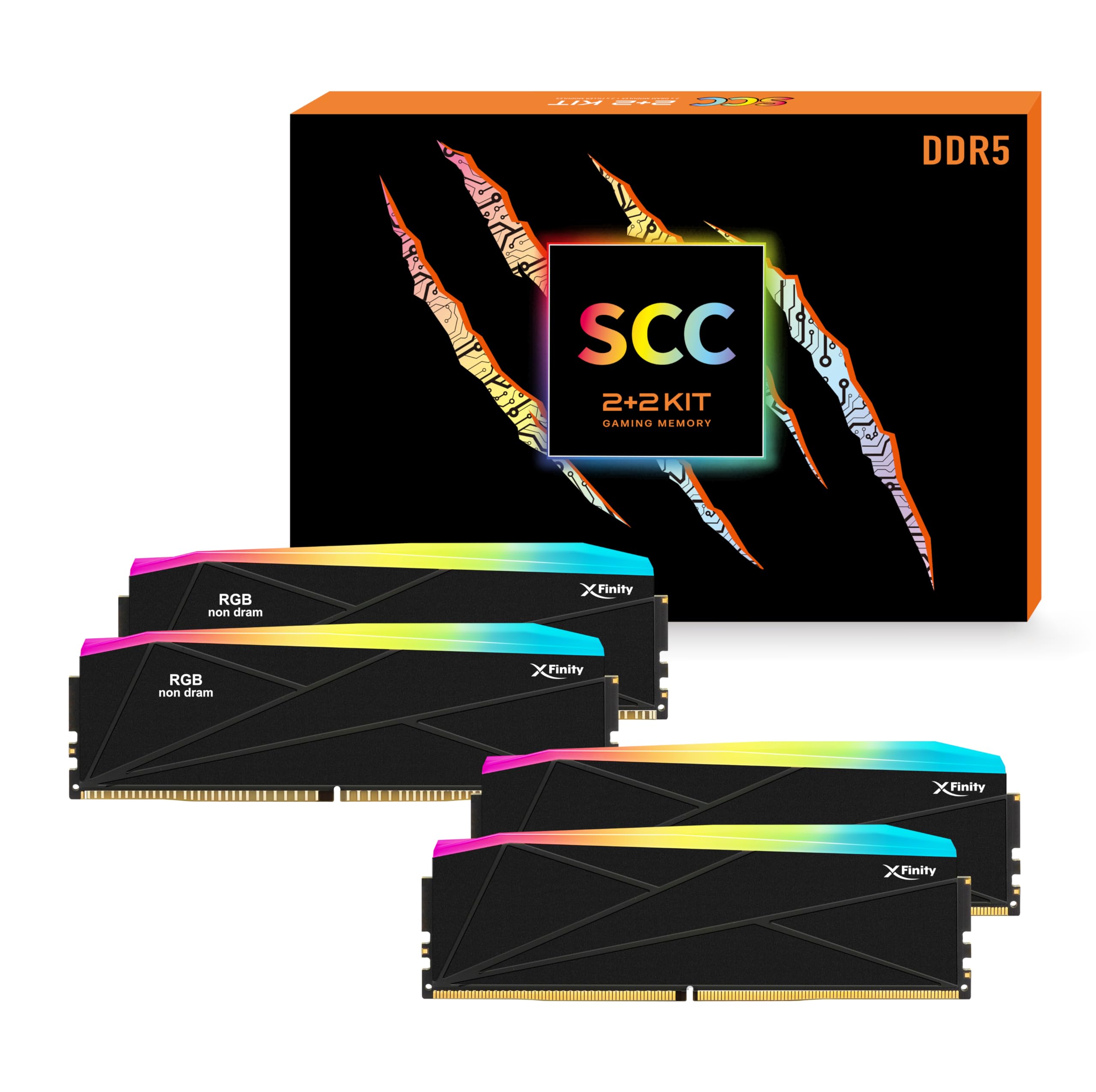 Amazon.co.jp: V-Color DDR5 SCCキット 2+2 Manta XFinity 32GB (16GB