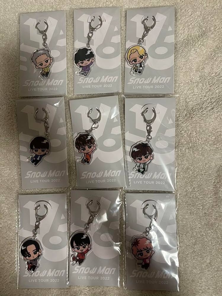 SnowMan すのチル アクリルキーホルダー ぶら下がりシリーズ 9人セット