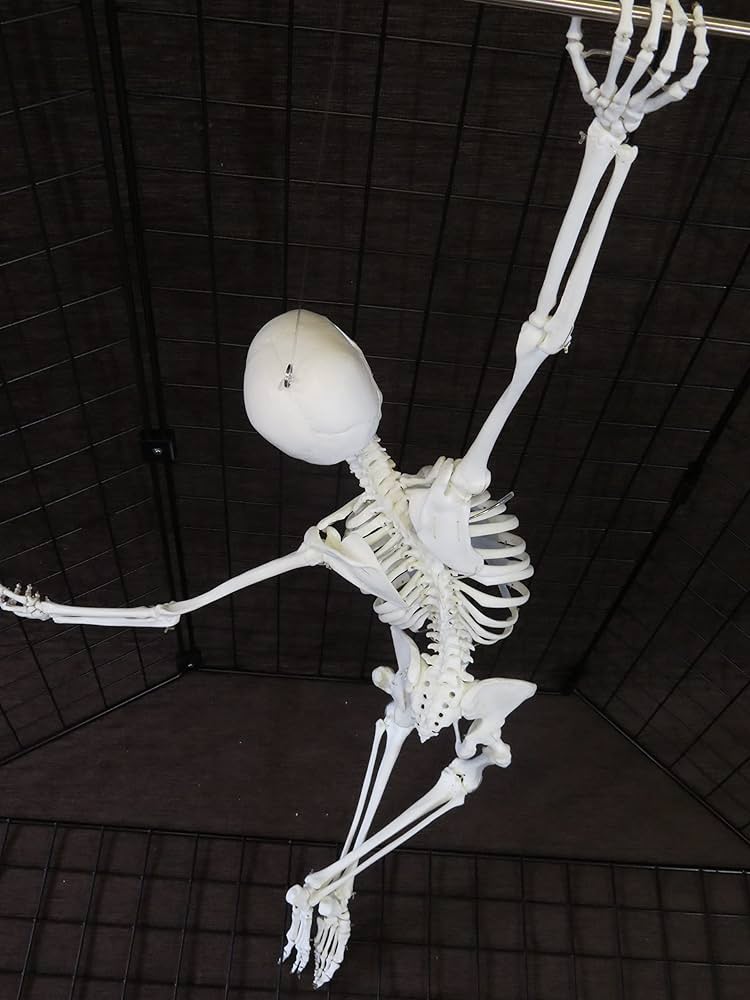 71CZbnKBaeL._AC_UF1000,