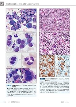 71CceYrk5YL._AC_UF350,