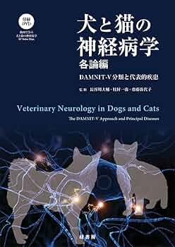 71DxVxpQULL._AC_UF350,