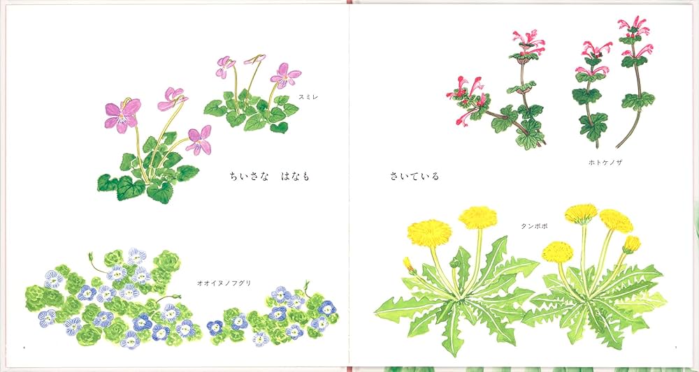 Amazon.co.jp: はるをみつけたよ (幼児絵本シリーズ) : 平野 恵理子: 本