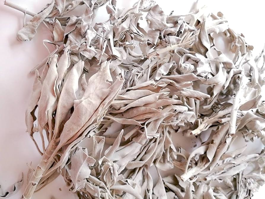 Amazon | ホワイトセージ 浄化用 お香 無農薬 枝付き クラスタータイプ