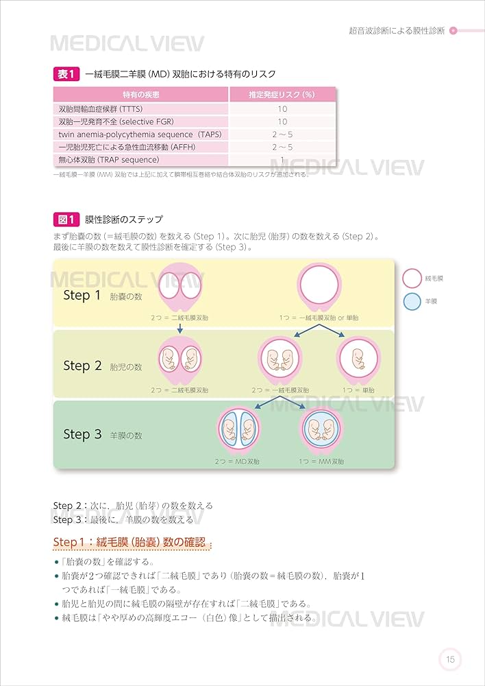 多胎妊娠−妊娠・分娩・新生児管理のすべて−改訂第2版 | 村越 毅 |本