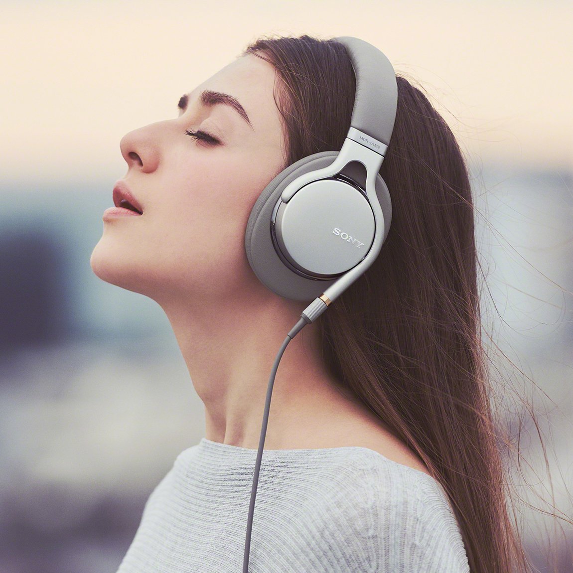 Amazon.co.jp: ソニー ヘッドホン MDR-1AM2 S : ハイレゾ 密閉型