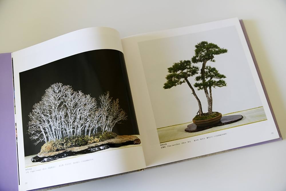 国風盆栽展 第63回〜第69回 Amazon.co.jp: 国風盆栽展 第69回 : 日本