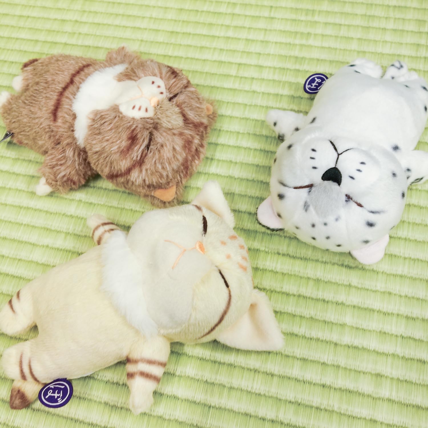 Amazon.co.jp: 内藤デザイン研究所(Naitou Design) ぼうみたいなねこ