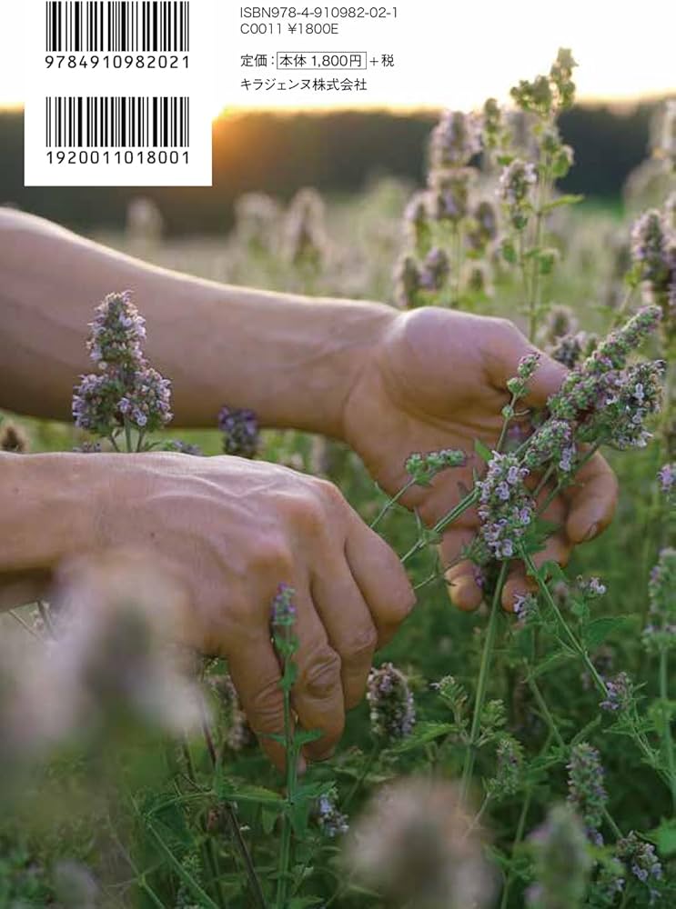 フィンランドの森で出会ったハーブのある暮らし | ヴィルピ・ライパラ