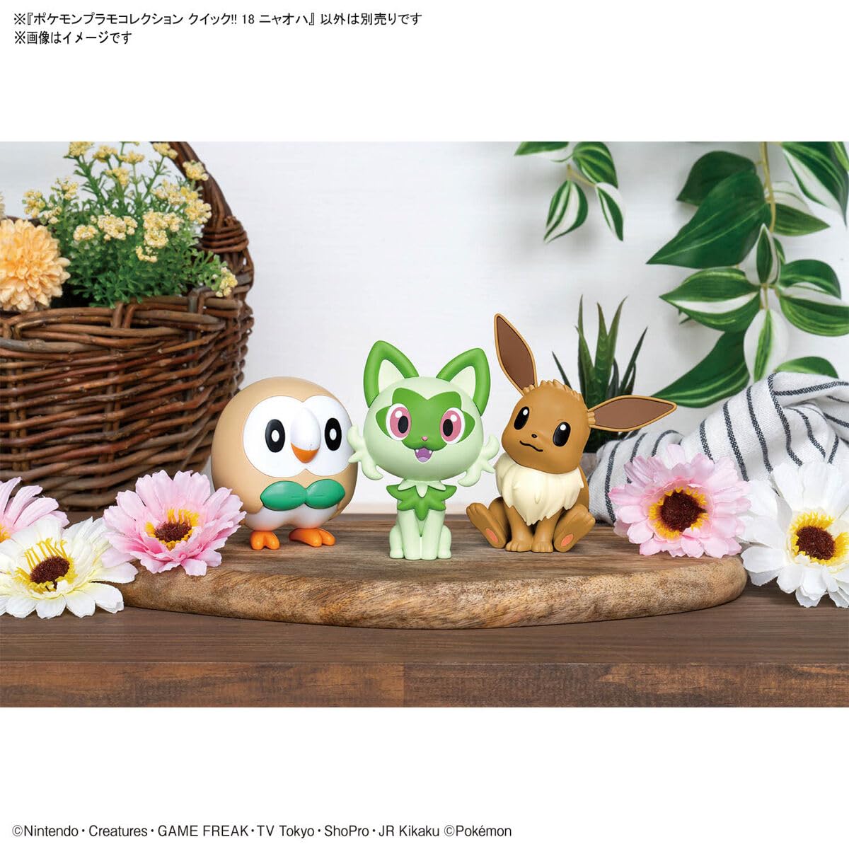 Amazon.co.jp: Pokemon Plamo Collection Quick!! 18 Sprigatito