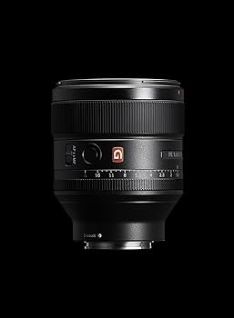 Amazon.co.jp: SONY(ソニー) 望遠単焦点レンズ フルサイズ FE 85mm F1