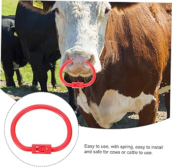 Amazon.co.jp: CAXUSD プラスチック製牛鼻輪 牛の牽引用アクセサリー