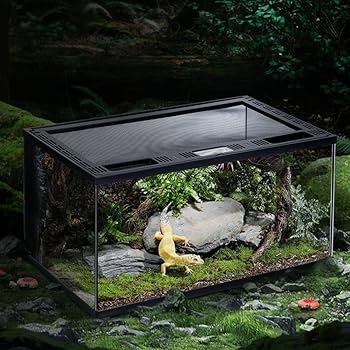 Amazon | 爬虫類 ケージ グラステラリウム 飼育ケース 大 爬虫類
