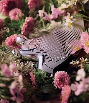 Amazon.co.jp: ReFa(リファ) ReFa CAXA RAY 単品 126グラム (x 1