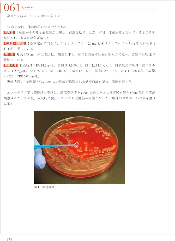 THE総合内科ドリルVer.2(1,2セット)WEB版使用済 THE総合内科ドリルVer