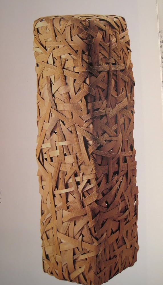 71JLih6iZ4L._AC_UF1000,