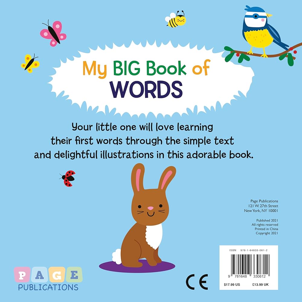 My Big Book of Words: Page Publications: 9781648330612: Amazon.com