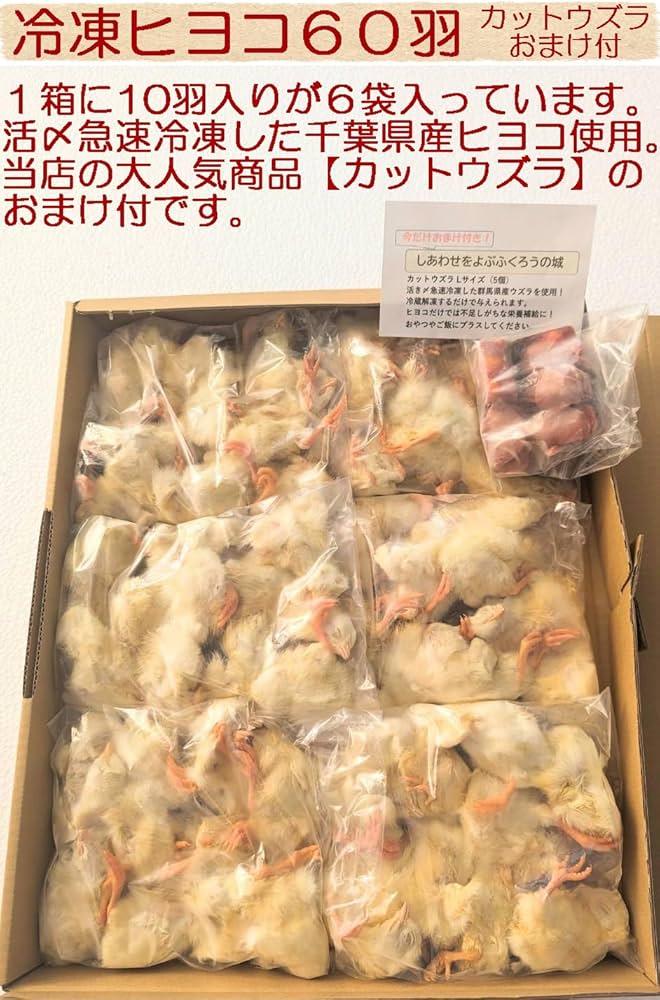 Amazon.co.jp: フクロウ・タカ・ハヤブサ等の餌 冷凍ヒヨコ60羽入り