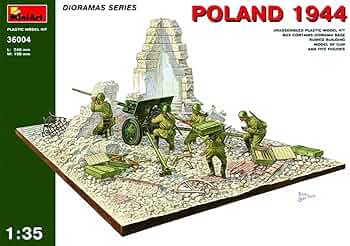 71L3or-S6CL._AC_UF350,