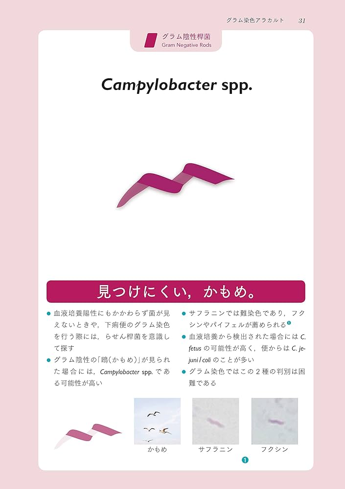 レジデントのための感染症診療マニュアル 第4版 | 青木 眞 |本 | 通販