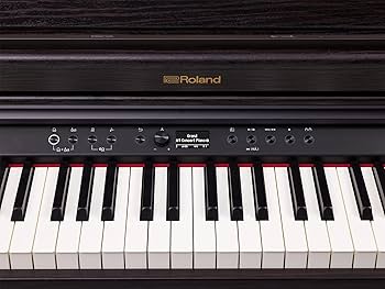 Amazon.com: Roland 88-Key Digital Home Piano (RP701-DR) : Musical
