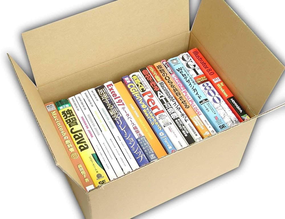 Amazon.co.jp: VillageBox ダンボール箱 90サイズ 10枚セット 内寸380