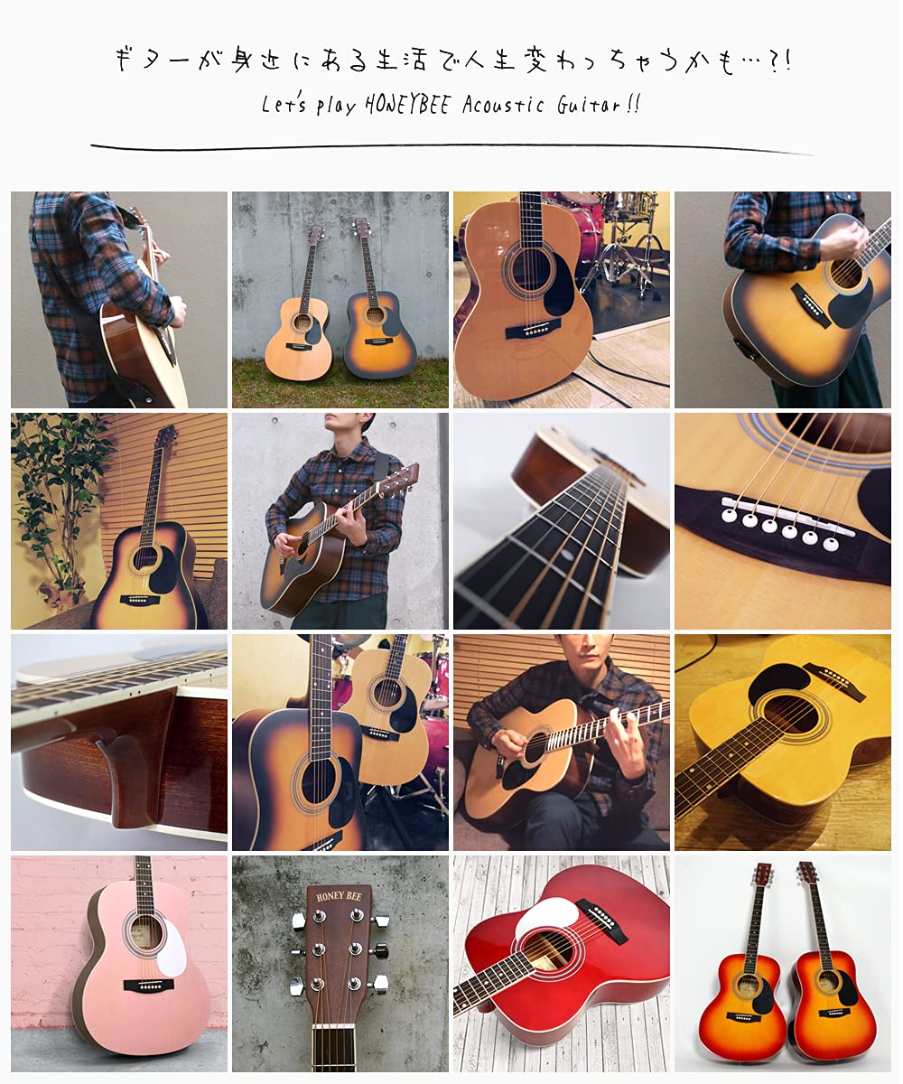 Amazon | HONEY BEE アコースティックギター フォークギタータイプ F
