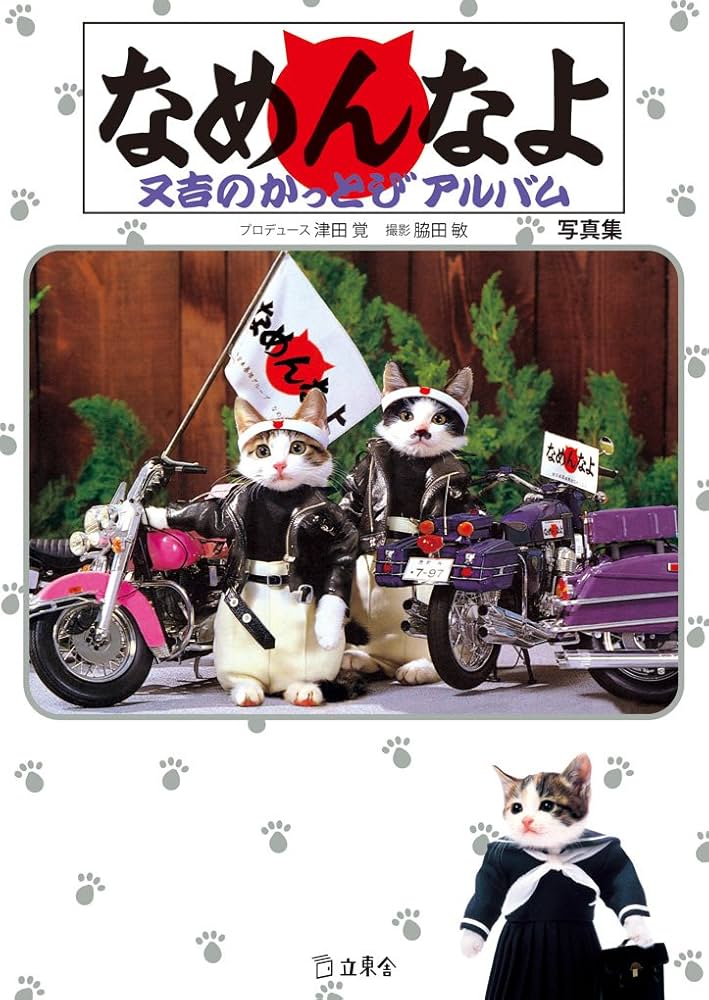 なめんなよ 又吉のかっとびアルバム(写真集) (立東舎文庫) | 津田 覚