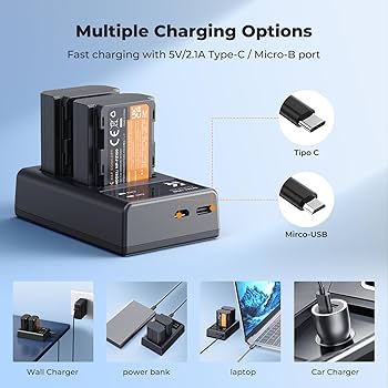 Amazon.com: K&F CONCEPT NP-FZ100 2280mAH Battery and Dual Slot