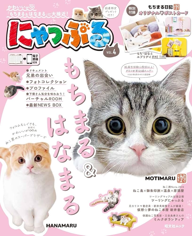 にゃっぷる vol.4 (昭文社ムック) | 昭文社 旅行ガイドブック 編集部