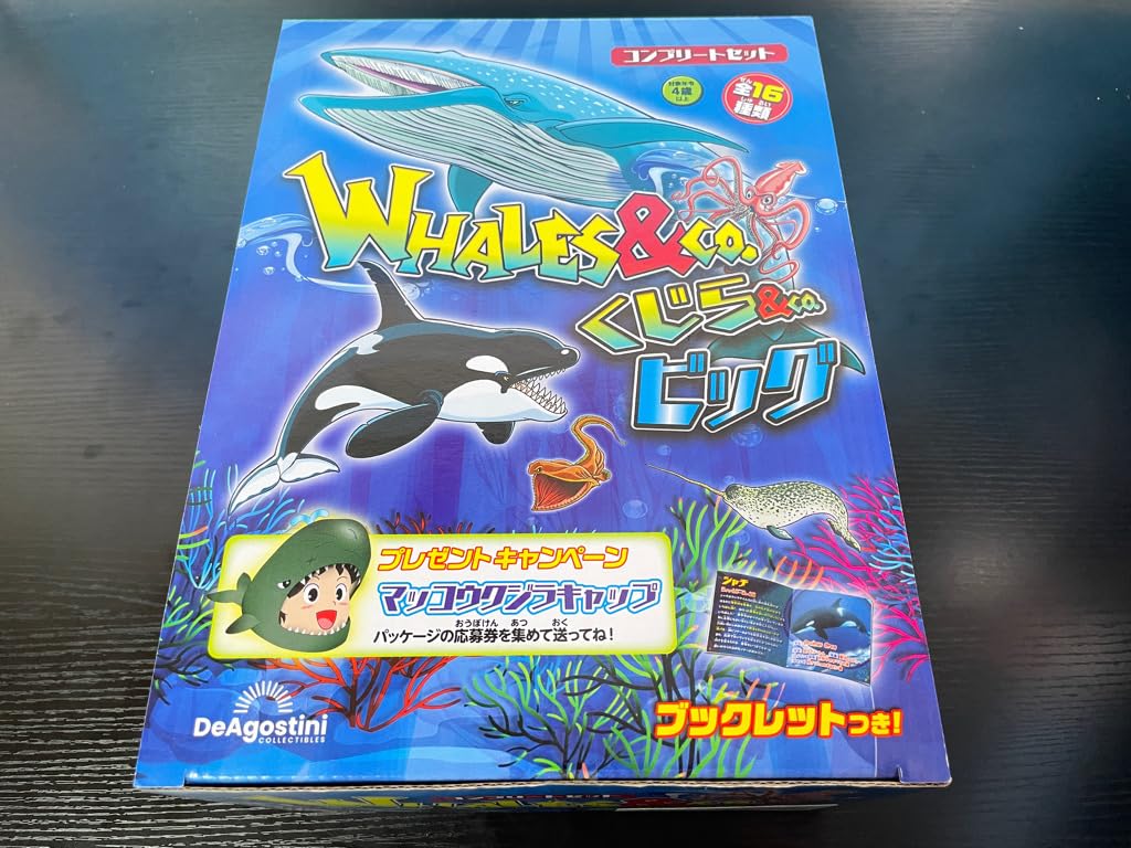 Amazon.co.jp: くじら＆Co. アンドコ ビッグ 16種コンプリートセット