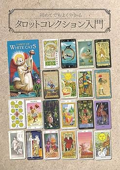 71Oh1Yz+b1L._AC_UF350,