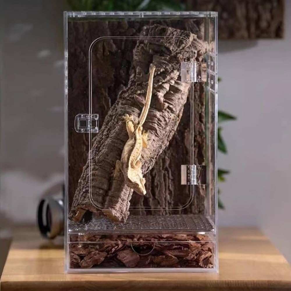 Amazon.co.jp: 爬虫類 飼育ケース レプタイルボックス 透明アクリル