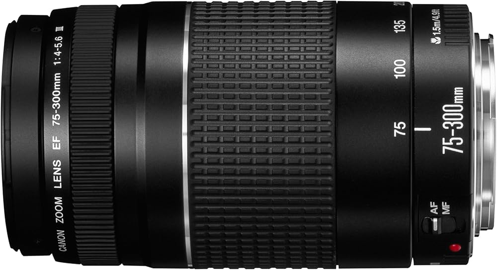 Amazon.co.jp: キャノンEF 75-300mm f/4-5.6 III 望遠ズームレンズ