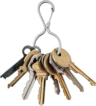 Amazon.com: Nite Ize Infini-Key Key Chain - Key Holder Clip Holds