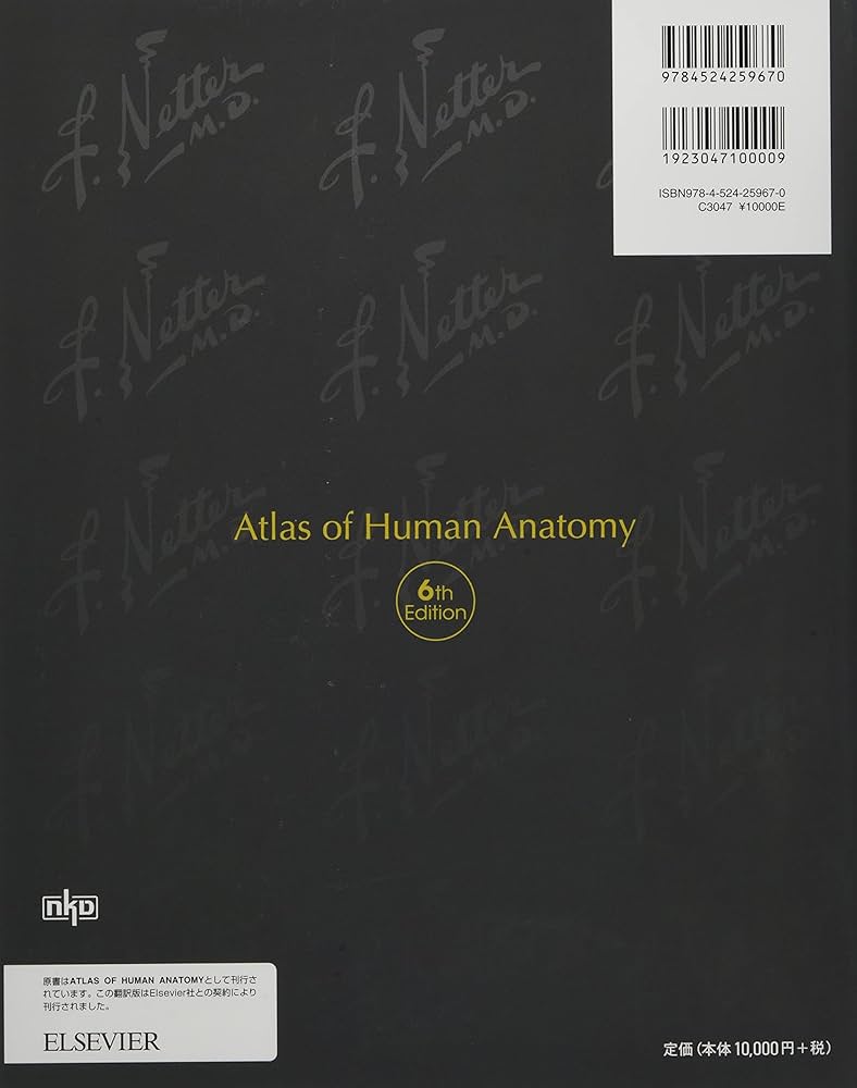 ネッター解剖学アトラス原書第6版 | F.H.Netter, 相磯貞和 |本 | 通販
