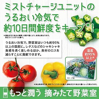 Amazon.co.jp: TOSHIBA(東芝) 冷蔵庫 幅65.0㎝ 508L フレンチドア GR