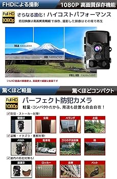 71R4KwSQLtL._AC_UF350,