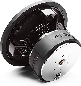 Amazon.com: Skar Audio DDX-12 D4 12