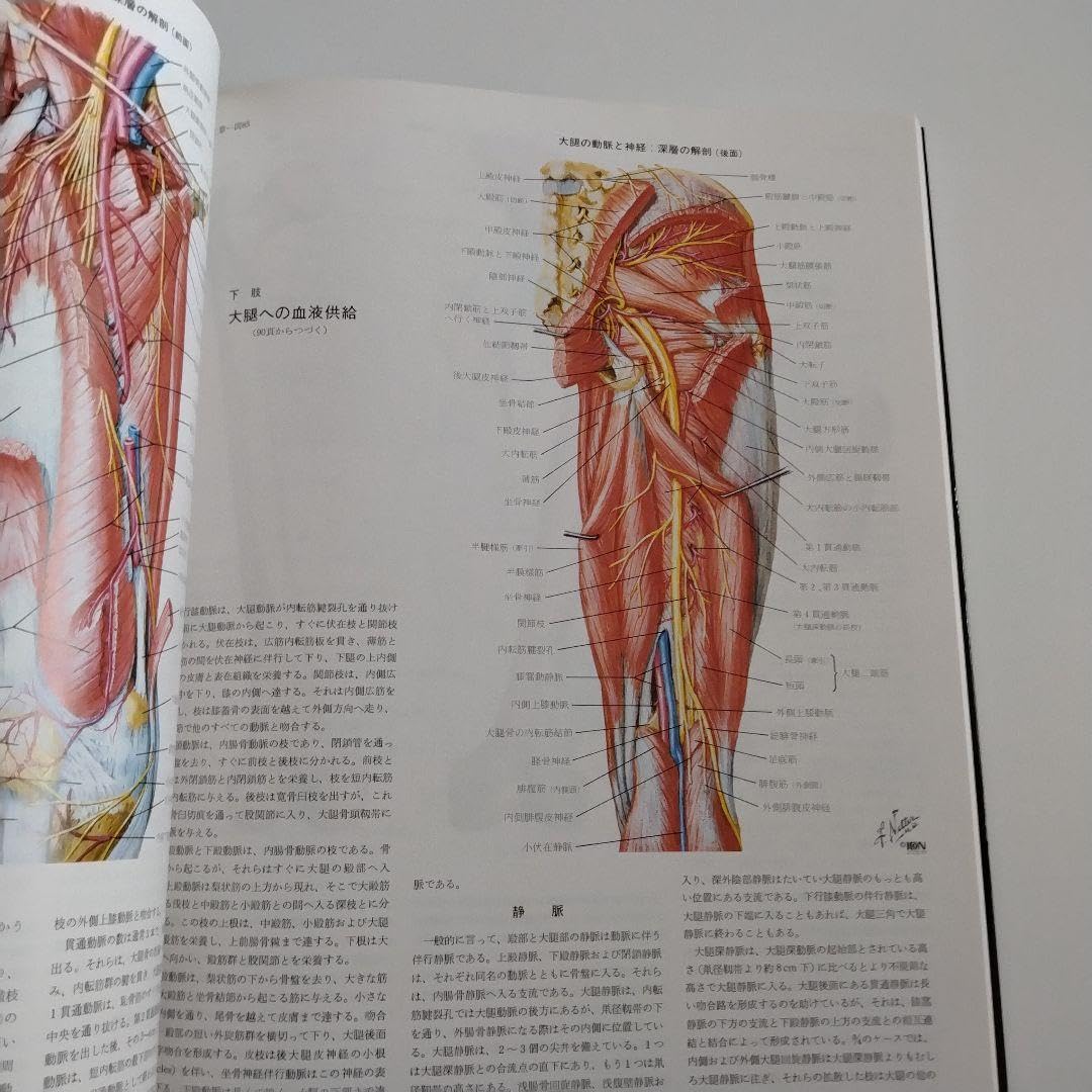 Amazon.co.jp: ネッター医学図譜 : 学生版 筋骨格系 1 医療 図解