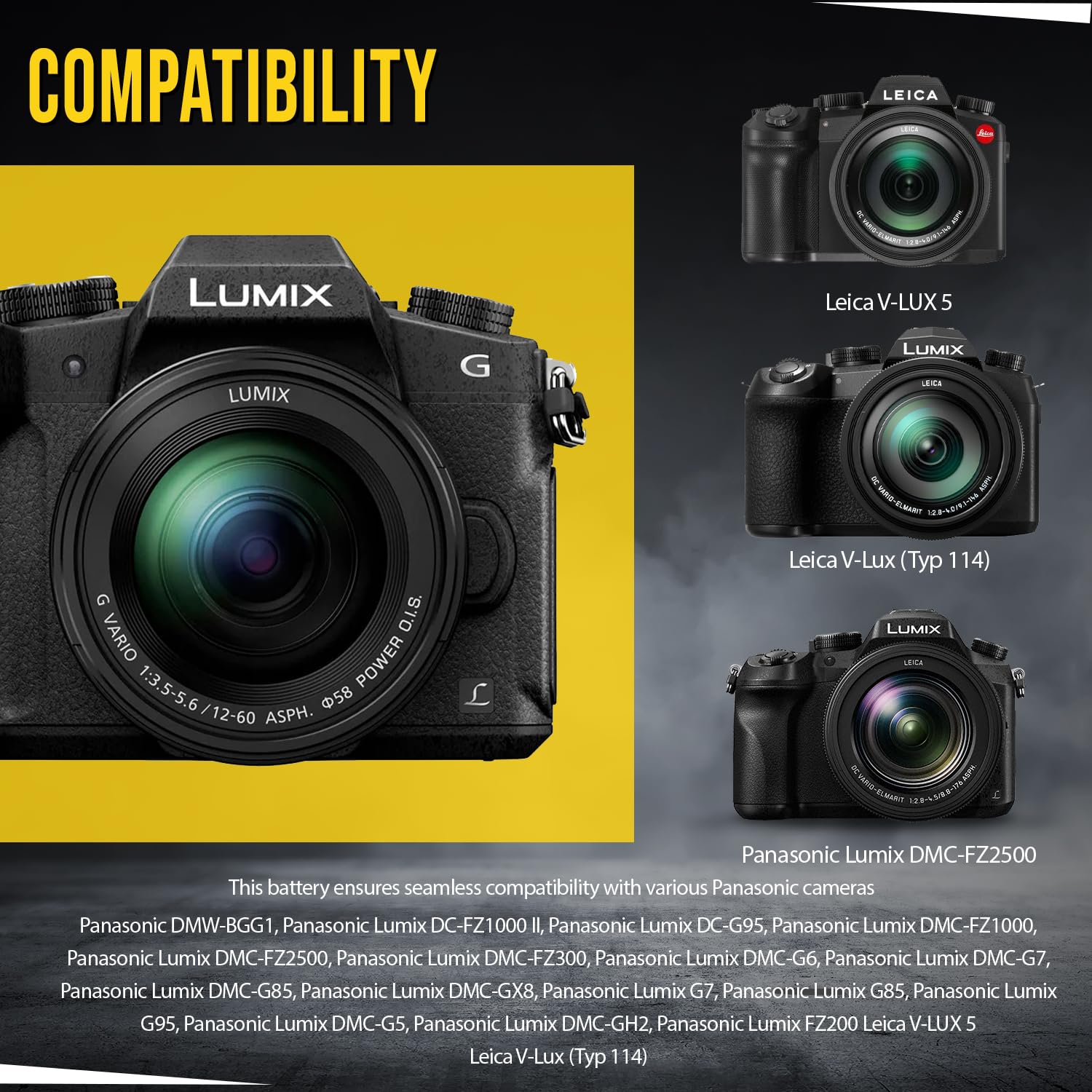 Amazon.com: BM Premium 2 Pack of High Capacity DMW-BLC12 Batteries