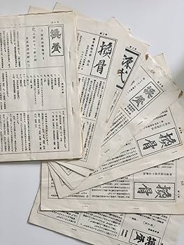 Amazon.co.jp: 堀辺 正史 換骨拳 骨法 : おもちゃ