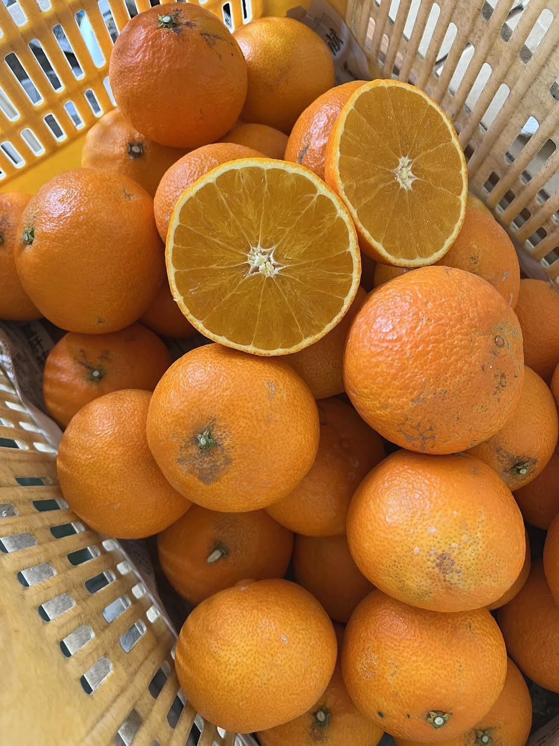 Amazon.co.jp: 紅まどんな 訳あり 紅マドンナ 愛果28号 ご家庭用 5