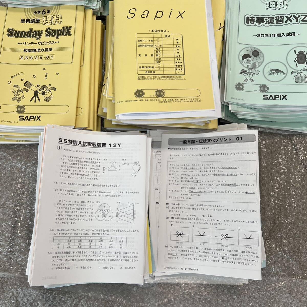 サピックス 知識の総完成 社会 6年生総まとめ 欠番なし サピックス